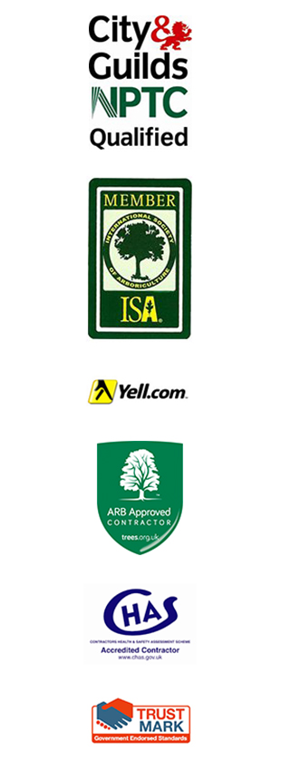 Affiliation logos